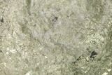 Natural Pyrite Concretion - China #142985-1